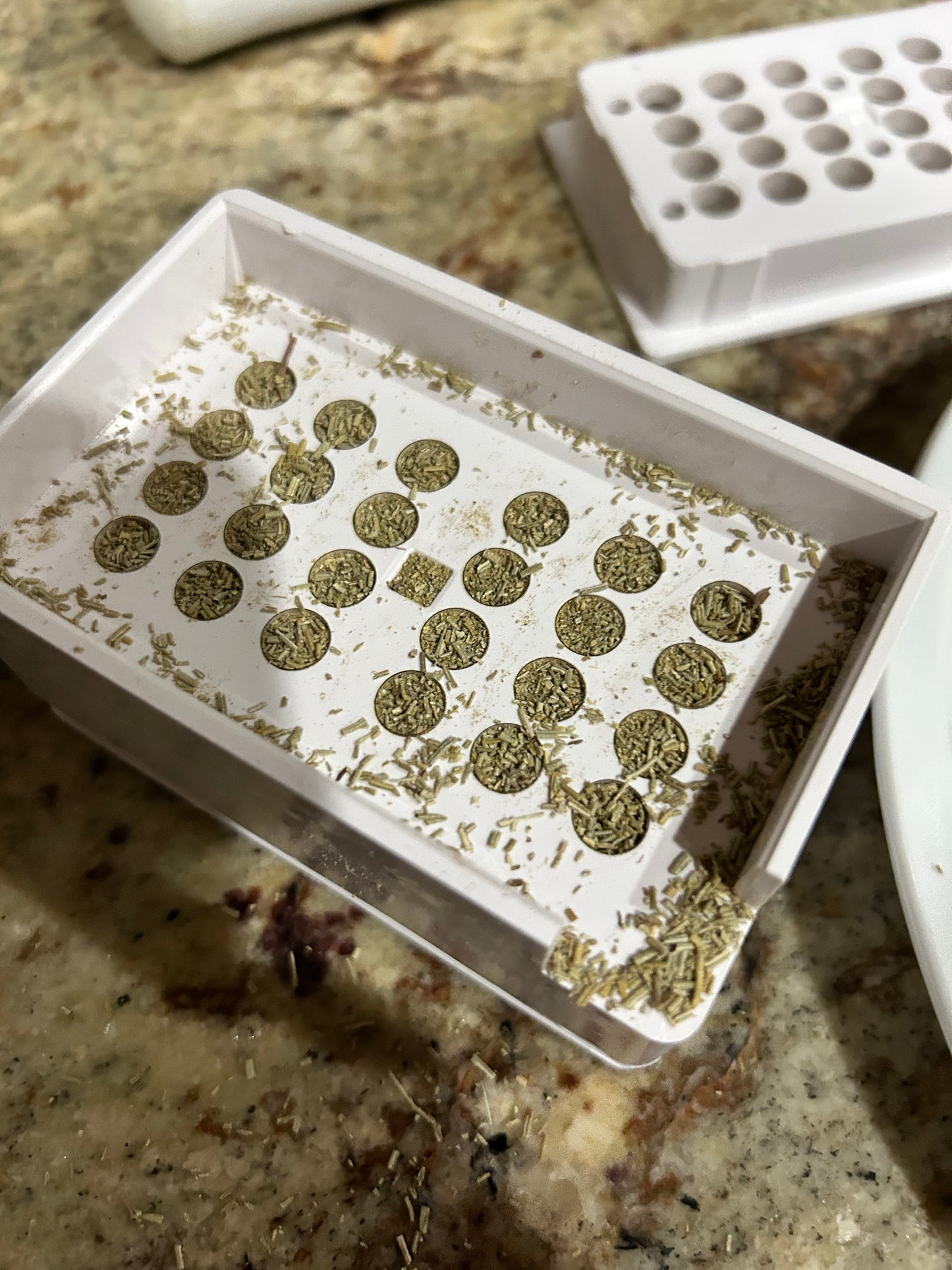 Rosemary Leaf & Basil Capsules by Sacral Healing Garden